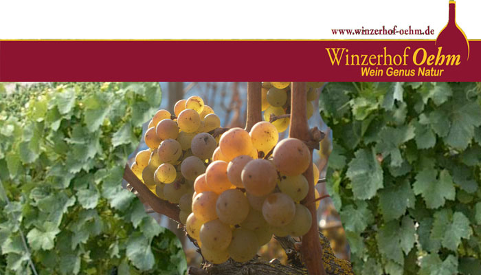 Winzerhof Oehm, Wein Genuss Natur
